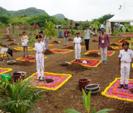 Plantation2