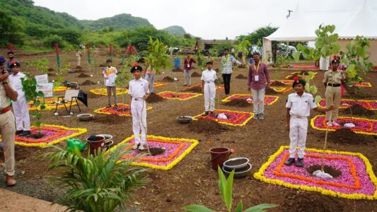 Plantation2
